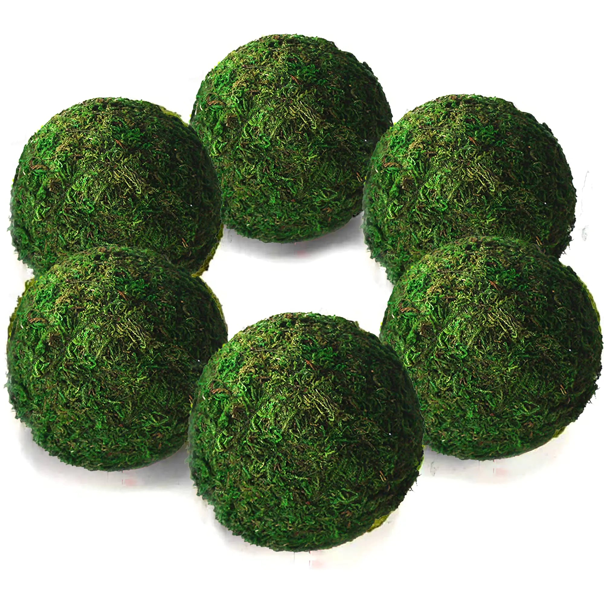 Verdant Rina Preserved Moss Orbs – Set of 6